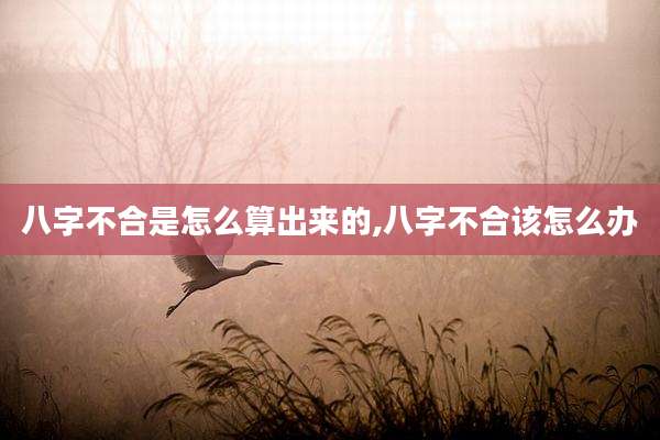 八字不合是怎么算出来的,八字不合该怎么办