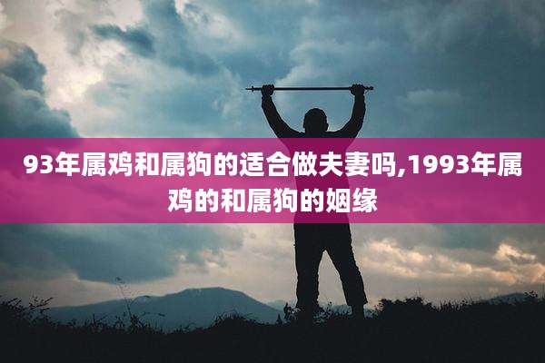 93年属鸡和属狗的适合做夫妻吗,1993年属鸡的和属狗的姻缘
