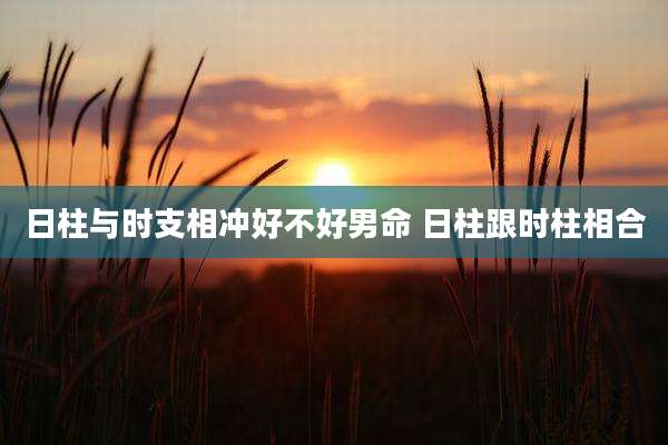 日柱与时支相冲好不好男命 日柱跟时柱相合