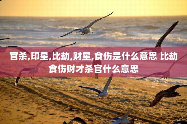 官杀,印星,比劫,财星,食伤是什么意思 比劫食伤财才杀官什么意思