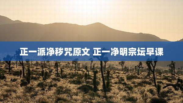 正一派净秽咒原文 正一净明宗坛早课
