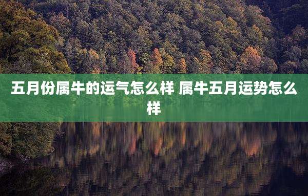 五月份属牛的运气怎么样 属牛五月运势怎么样