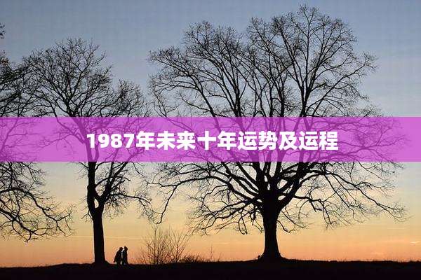 1987年未来十年运势及运程