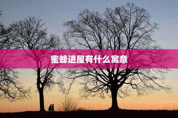 蜜蜂进屋有什么寓意