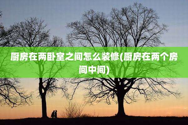 厨房在两卧室之间怎么装修(厨房在两个房间中间)