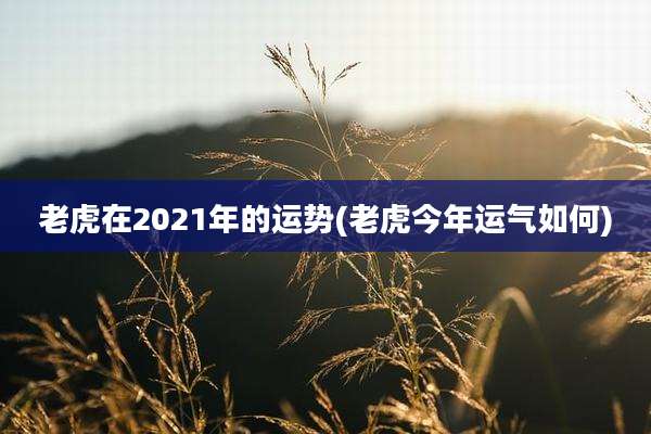 老虎在2021年的运势(老虎今年运气如何)