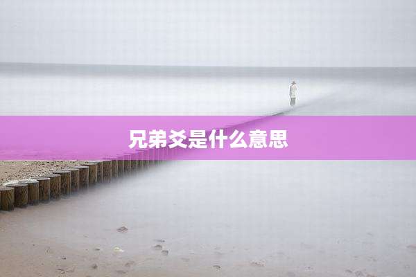 兄弟爻是什么意思