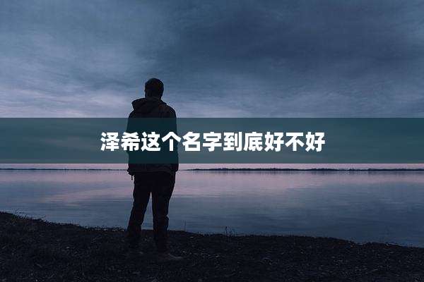 泽希这个名字到底好不好