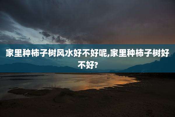 家里种柿子树风水好不好呢,家里种柿子树好不好?
