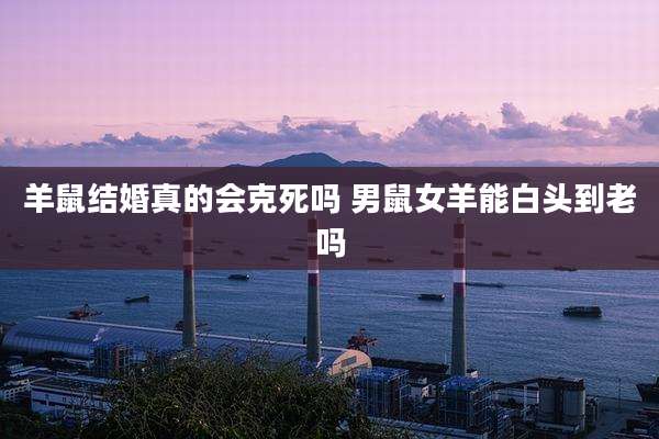 羊鼠结婚真的会克死吗 男鼠女羊能白头到老吗