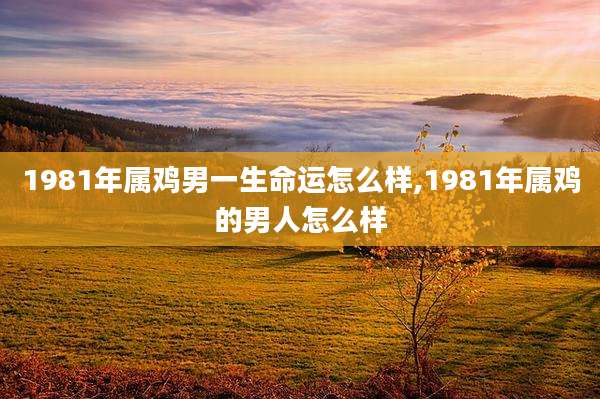 1981年属鸡男一生命运怎么样,1981年属鸡的男人怎么样
