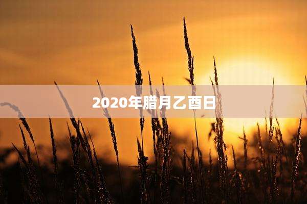 2020年腊月乙酉日