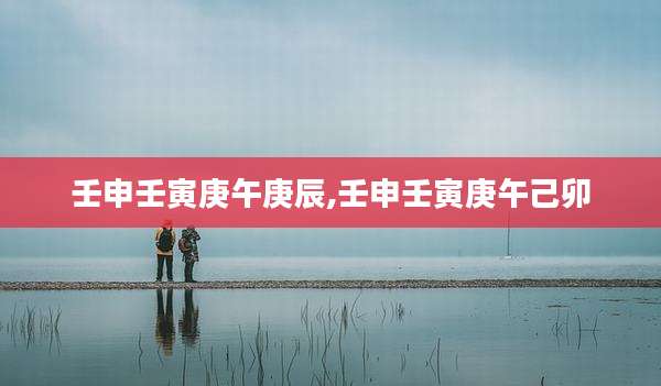 壬申壬寅庚午庚辰,壬申壬寅庚午己卯