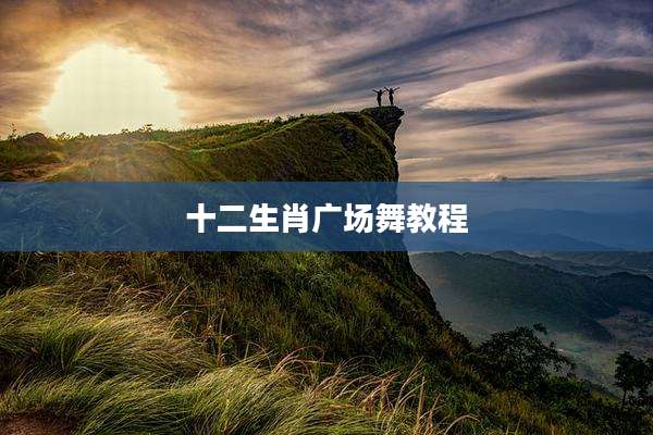 十二生肖广场舞教程