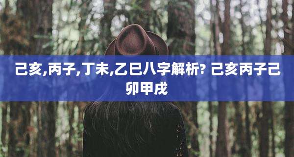 己亥,丙子,丁未,乙巳八字解析? 己亥丙子己卯甲戌