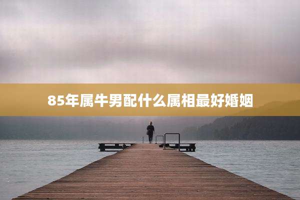 85年属牛男配什么属相最好婚姻