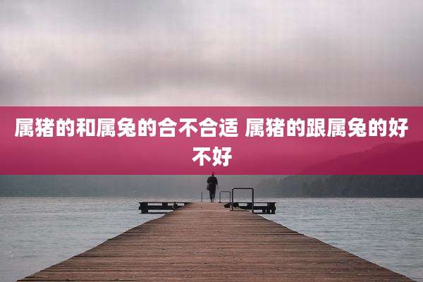 属猪的和属兔的合不合适 属猪的跟属兔的好不好