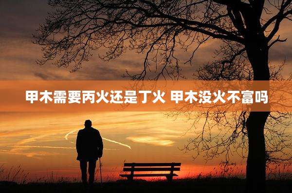 甲木需要丙火还是丁火 甲木没火不富吗