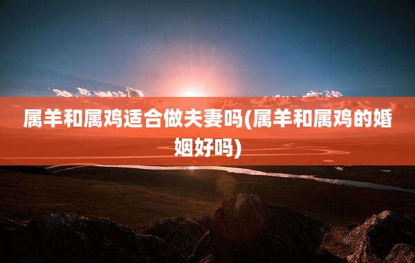属羊和属鸡适合做夫妻吗(属羊和属鸡的婚姻好吗)