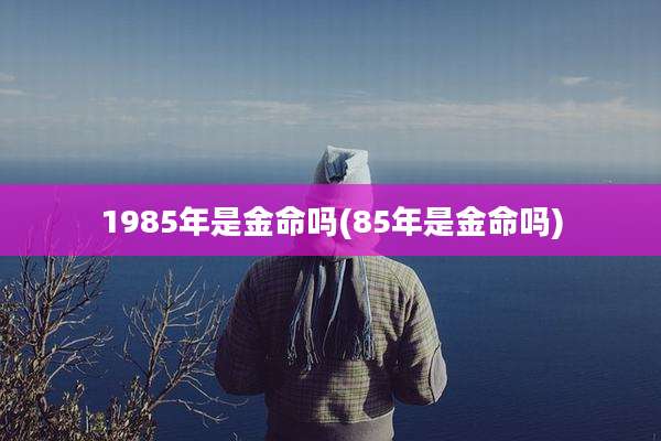 1985年是金命吗(85年是金命吗)