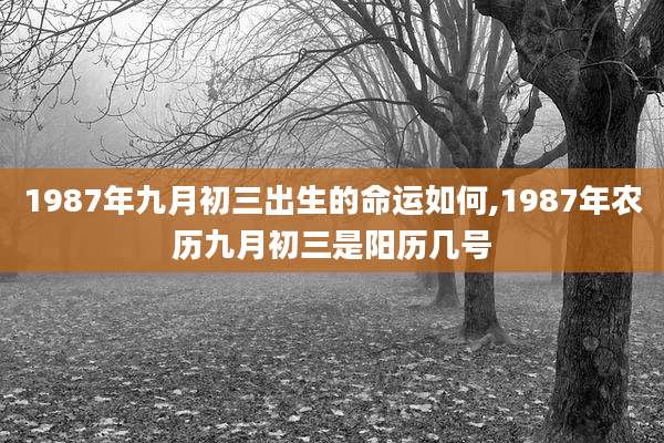 1987年九月初三出生的命运如何,1987年农历九月初三是阳历几号
