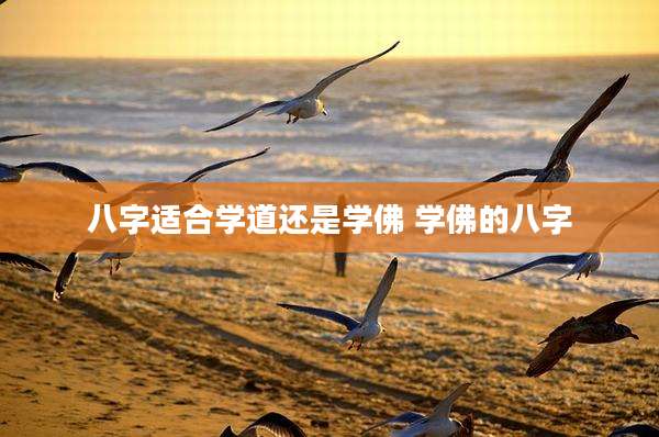 八字适合学道还是学佛 学佛的八字