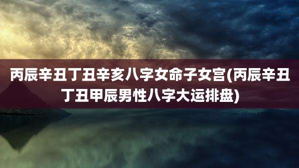 丙辰辛丑丁丑辛亥八字女命子女宫(丙辰辛丑丁丑甲辰男性八字大运排盘)