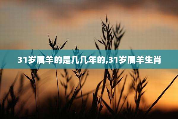 31岁属羊的是几几年的,31岁属羊生肖