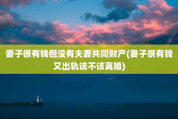 妻子很有钱但没有夫妻共同财产(妻子很有钱又出轨该不该离婚)