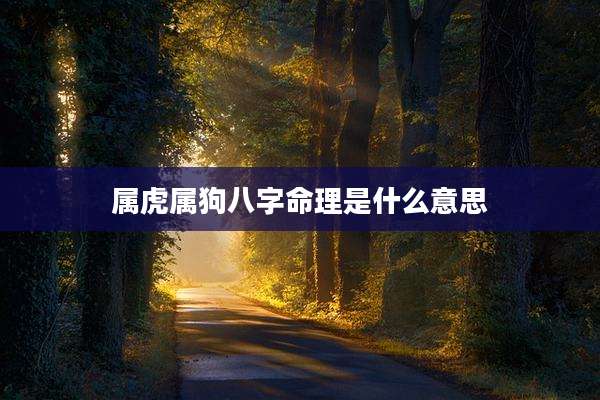 属虎属狗八字命理是什么意思
