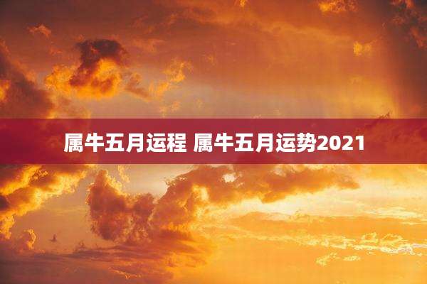 属牛五月运程 属牛五月运势2021