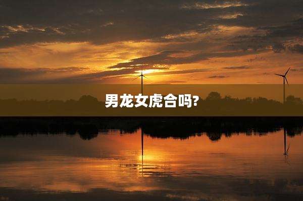 男龙女虎合吗?