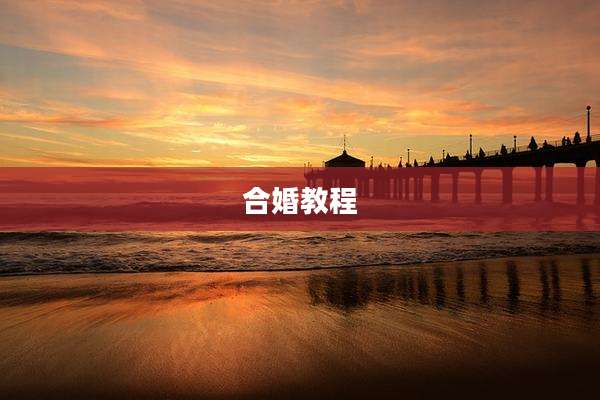 合婚教程