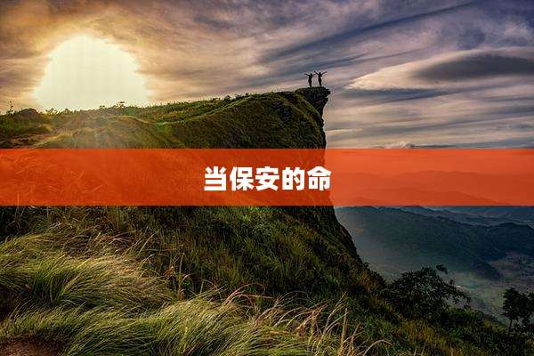 当保安的命