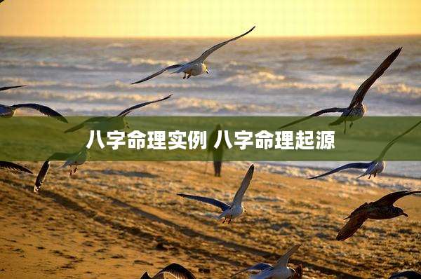 八字命理实例 八字命理起源