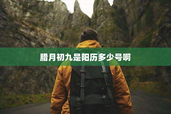 腊月初九是阳历多少号啊