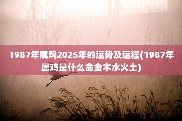 1987年属鸡2025年的运势及运程(1987年属鸡是什么命金木水火土)