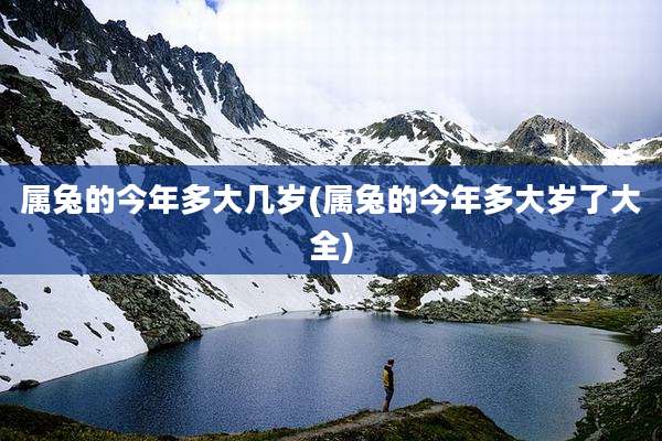 属兔的今年多大几岁(属兔的今年多大岁了大全)