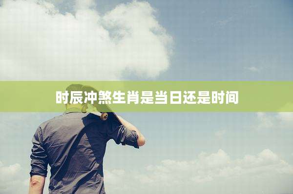 时辰冲煞生肖是当日还是时间