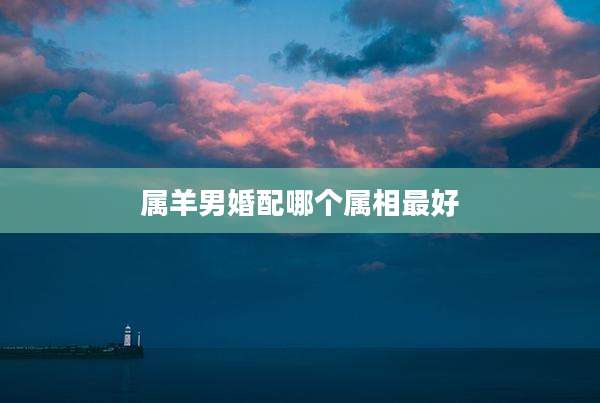 属羊男婚配哪个属相最好