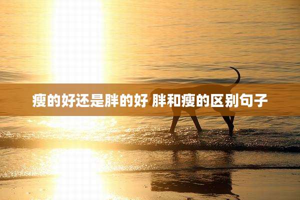 瘦的好还是胖的好 胖和瘦的区别句子
