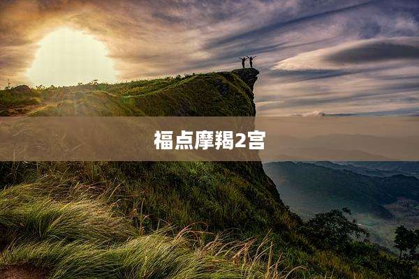 福点摩羯2宫