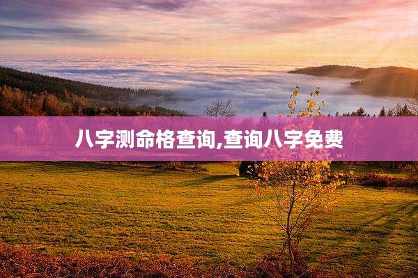 八字测命格查询,查询八字免费