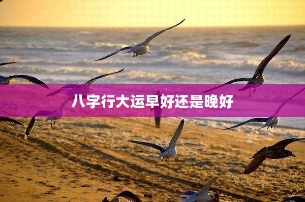 八字行大运早好还是晚好