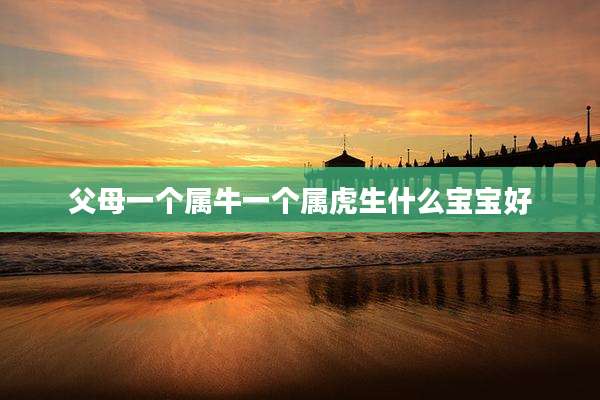 父母一个属牛一个属虎生什么宝宝好
