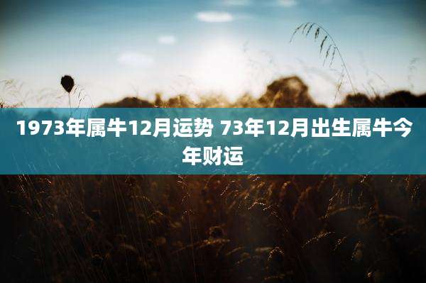 1973年属牛12月运势 73年12月出生属牛今年财运