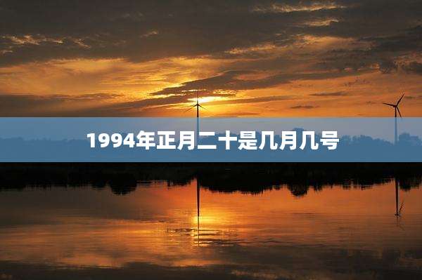 1994年正月二十是几月几号