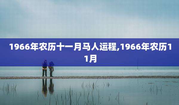 1966年农历十一月马人运程,1966年农历11月