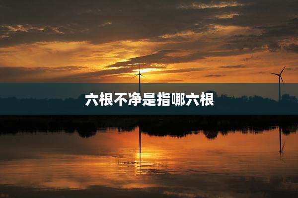 六根不净是指哪六根