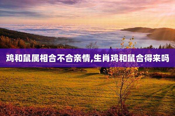 鸡和鼠属相合不合亲情,生肖鸡和鼠合得来吗